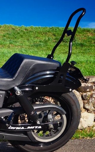 Sissy Bar respaldo para Harley Davidson.