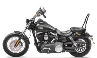 Sissy Bar respaldo para Harley Davidson.