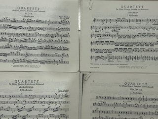 Lote Partituras Conservatorio Piano y Flauta