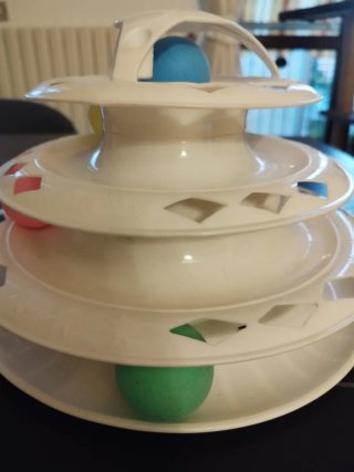 Gioco interattivo per gatti