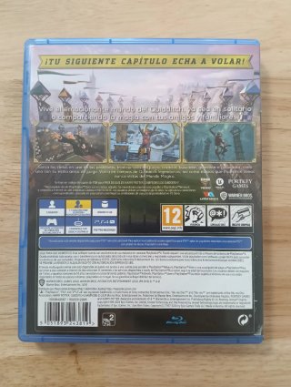 Harry Potter - Quidditch - Deluxe Edition - PS4