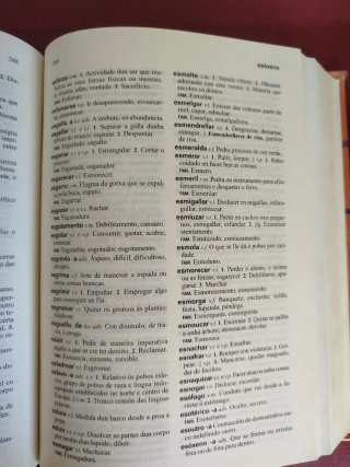 Diccionario Xerais da lingua