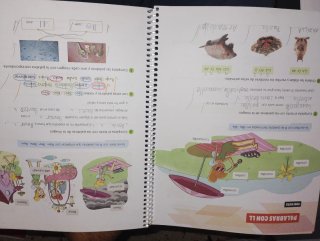 Ortografía con sentido 3 - Primaria
