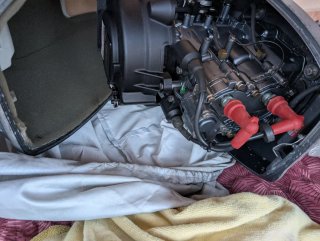 Motor fueraborda 15 CV GOII