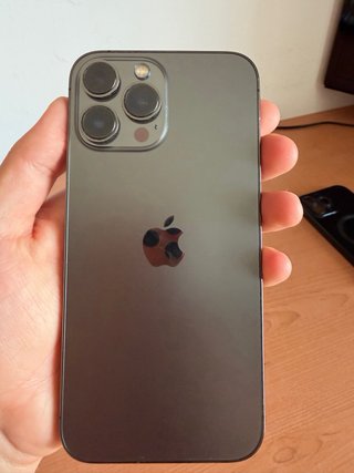 iPhone 13 Pro Max 256GB Gris Espacial + Extras