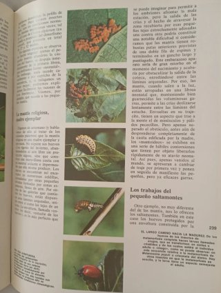 2 Libros El Reino Animal