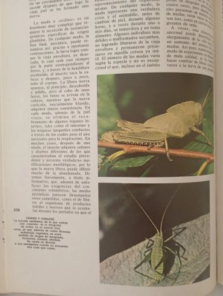 2 Libros El Reino Animal