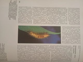 2 Libros El Reino Animal