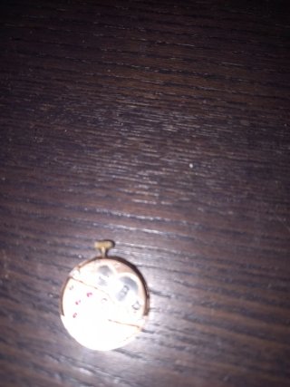 Movimento e Quadrante Vintage Omega Genève Donna P