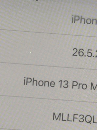 iPhone 13 Pro Max 512GB Grigio