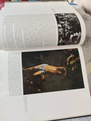Libro La edad de oro de la pintura en España.