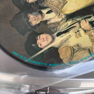 Disco de Vinilo Picture Disc The Beatles