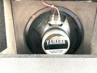 Amplificador Guitarra Yamaha HY-10G