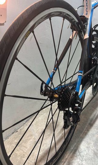 Focus Cayo Carbono XS - Ideal Escuelas de Ciclismo