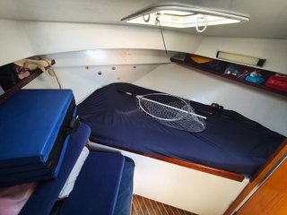 GOYMAR 860