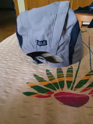Gorra Jack Wolfskin Unisex Gris