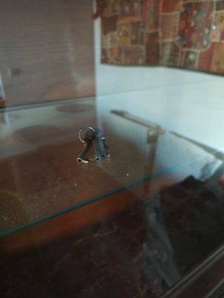 Vitrina antigua