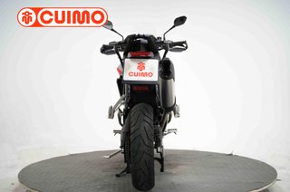 TRIUMPH TIGER 900 RALLY PRO