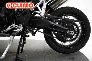TRIUMPH TIGER 900 RALLY PRO