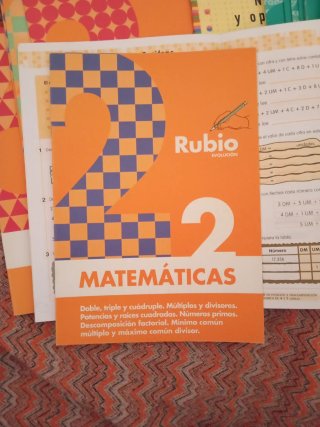 Matemáticas evolución RUBIO 2