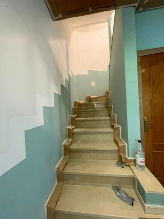 Pintor profesional
