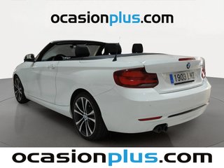 BMW Serie 2 220i Cabrio 135 kW (184 CV)