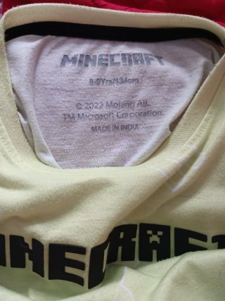 Camiseta Minecraft niño