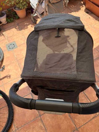 UPPAbaby Minu + Capazo Original