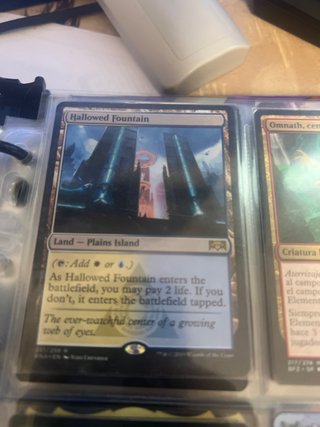 Hallowed Fountain Magic The Gathering Carta