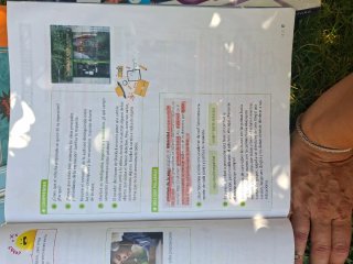 Lengua Castellana y Literatura 6, Tercer Ciclo ...