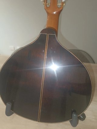 Bandurria Quiles