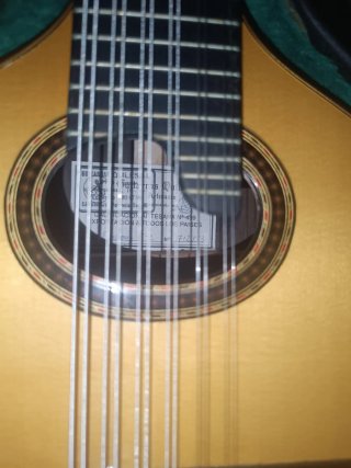 Bandurria Quiles