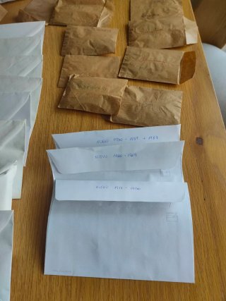 Sellos antiguos nacionales e internacionales