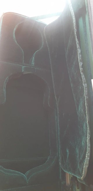 Funda de violín negra