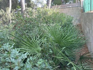 Terreno en venta en Nucli Urbà en Calafell