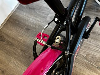 Bici infantil 16 pulgadas con diseño