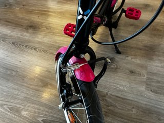 Bici infantil 16 pulgadas con diseño