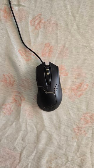 Raton BG Hornet
