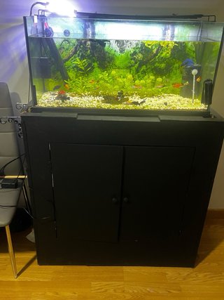 Acuario curvo y tres rectanculares