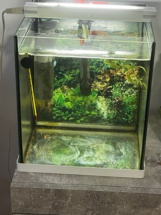Acuario curvo y tres rectanculares
