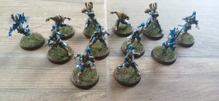 Equipo Altos Elfos Blood Bowl GW Pintado