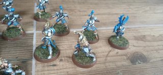 Equipo Altos Elfos Blood Bowl GW Pintado
