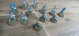 Equipo Altos Elfos Blood Bowl GW Pintado