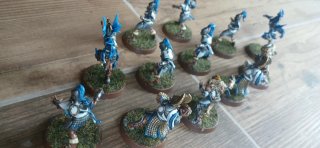Equipo Altos Elfos Blood Bowl GW Pintado