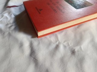 El amor en los tiempos del cólera