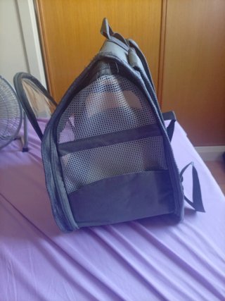 Transporting
