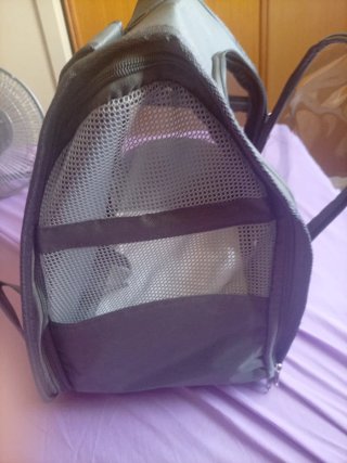 Transporting
