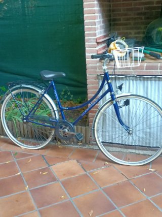 Bicicleta azul con cesta
