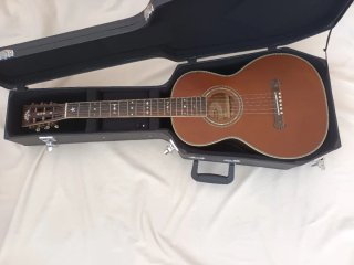 Washburn R314kk Parlor Guitar