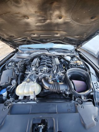 Ford Mustang 2021